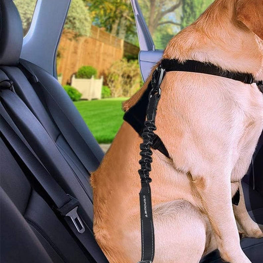 3-in-1 Bungee Dog Car Seat Belt 2-Pack - studio image 2