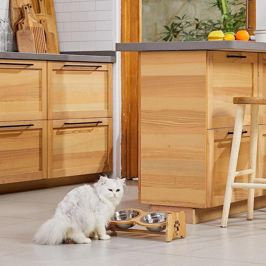 Elevated Bamboo Pet Feeder with Stainless Steel Bowls - studio image 2