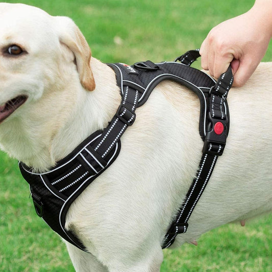 No-Pull Reflective Dog Harness Set - studio image 2