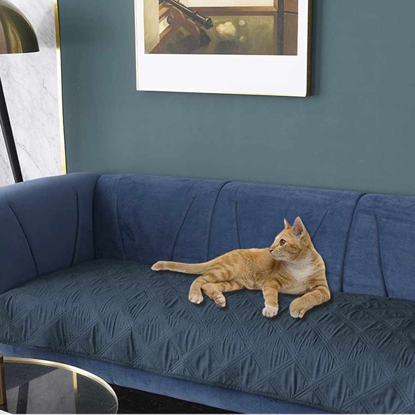 Waterproof Furniture Cover for Dogs - studio image 3