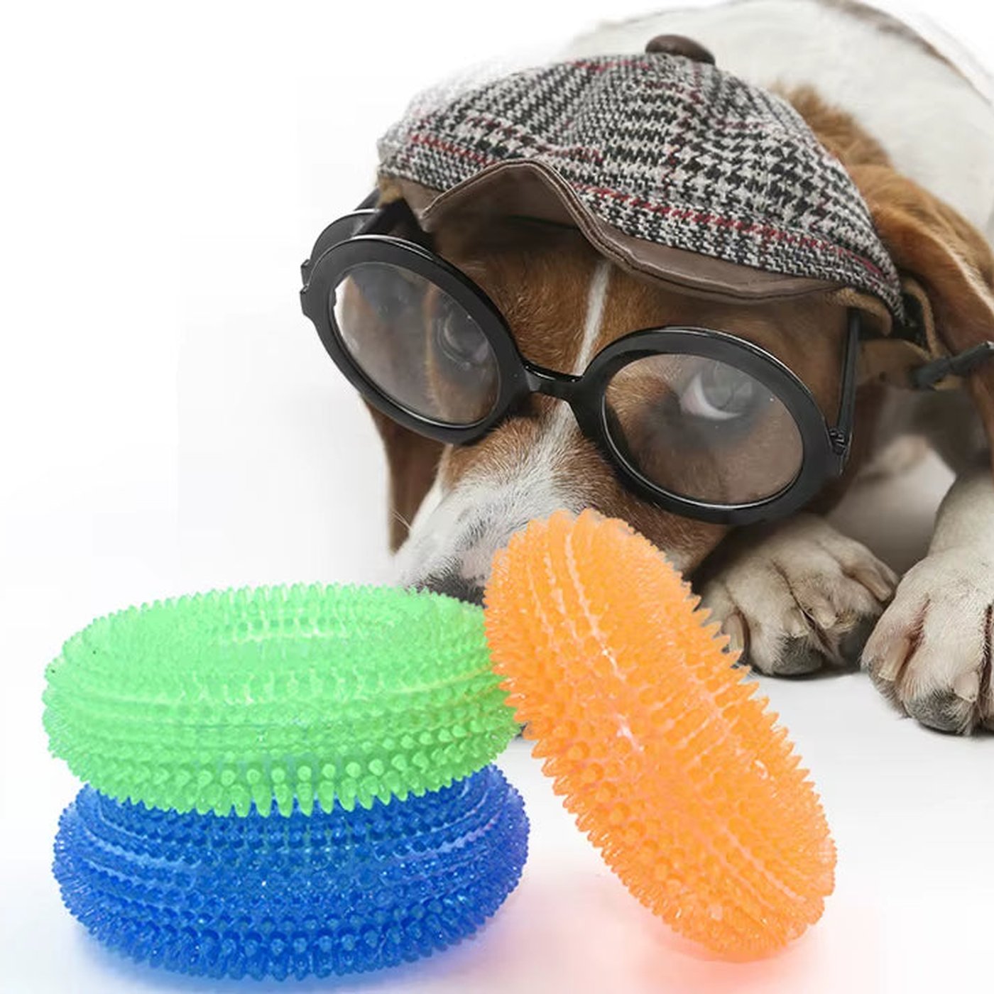 Squeaky TPR Chew Toy for Dogs - studio image 3