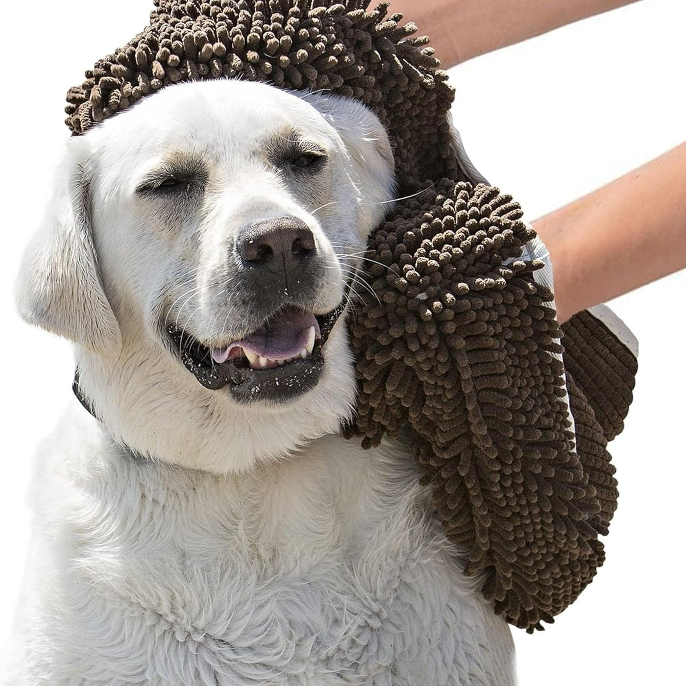 Super Absorbent Dog Drying Towel - studio image 1