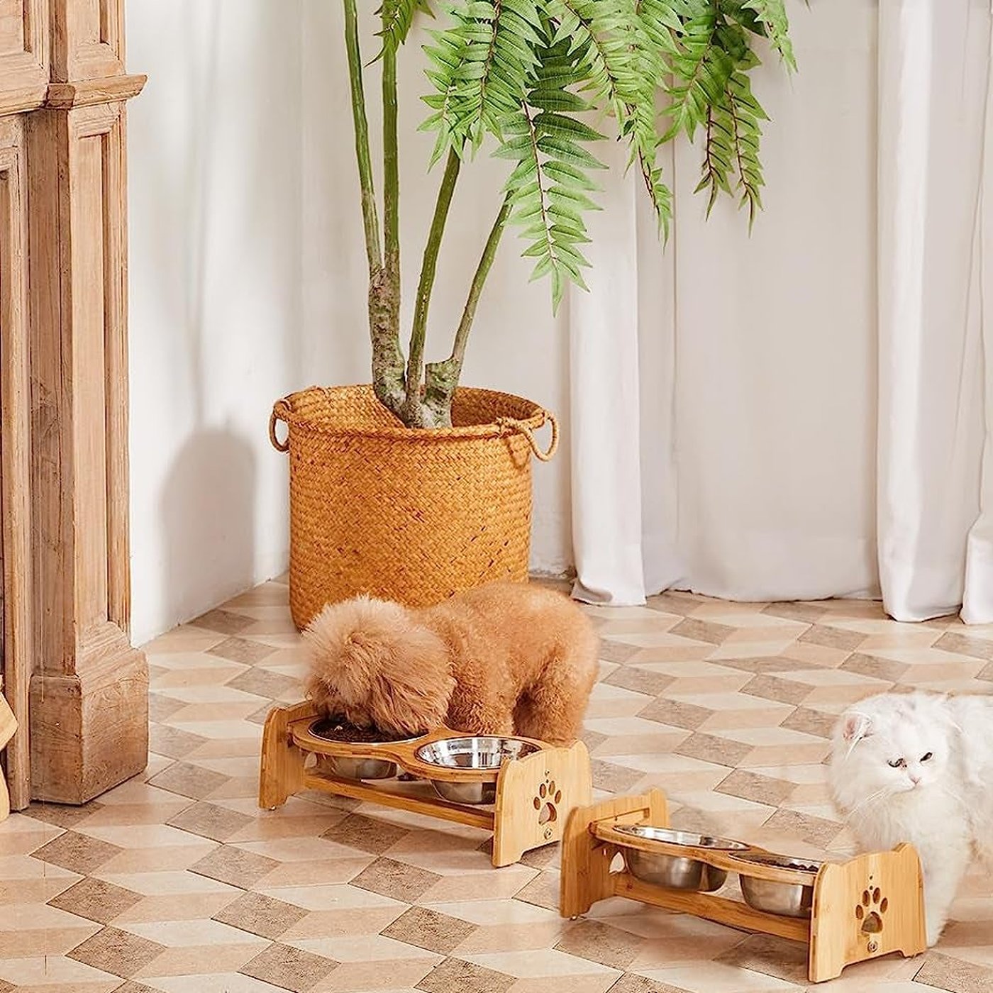 Elevated Bamboo Pet Feeder with Stainless Steel Bowls - studio image 3