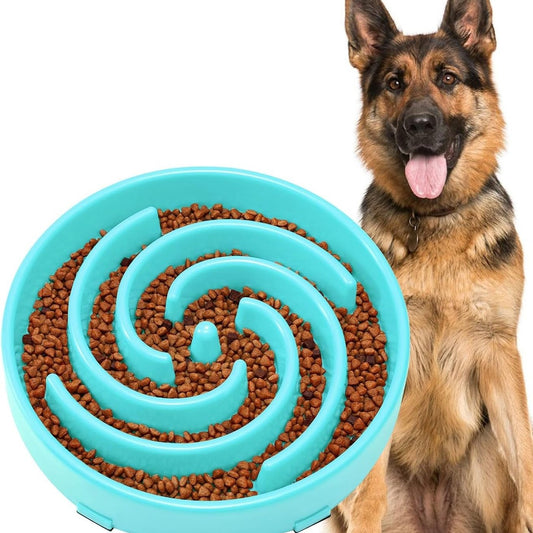 Slow Feeder Bowl for Dogs - studio image 2