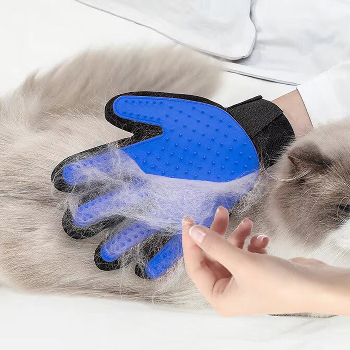 Deshedding Grooming Glove for Cats and Dogs - studio image 3