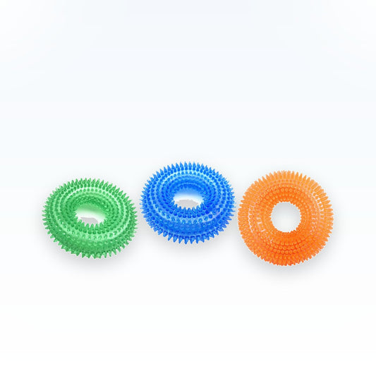 Squeaky TPR Chew Toy for Dogs - studio image 1