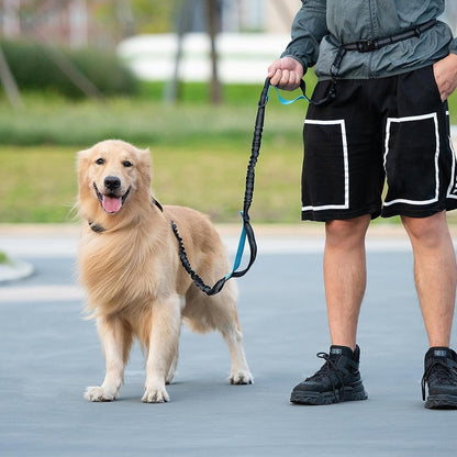 Hands-Free Dog Leash with Zipper Pouch - studio image 3