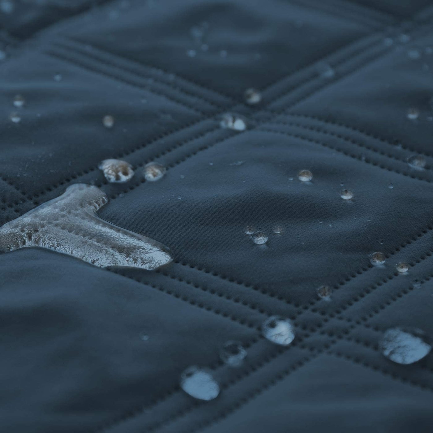Waterproof Furniture Cover for Dogs - studio image 2