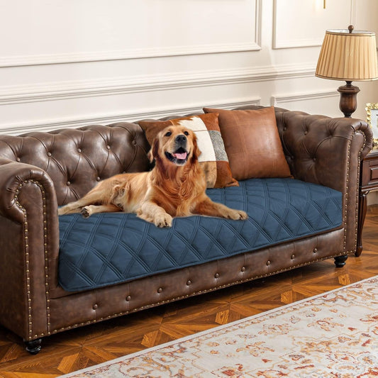 Waterproof Furniture Cover for Dogs - studio image 1