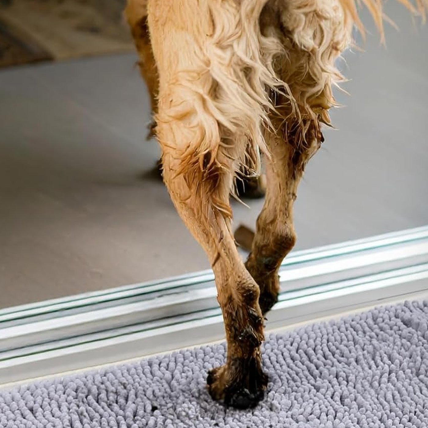 Absorbent Muddy Paw Door Mat - studio image 3