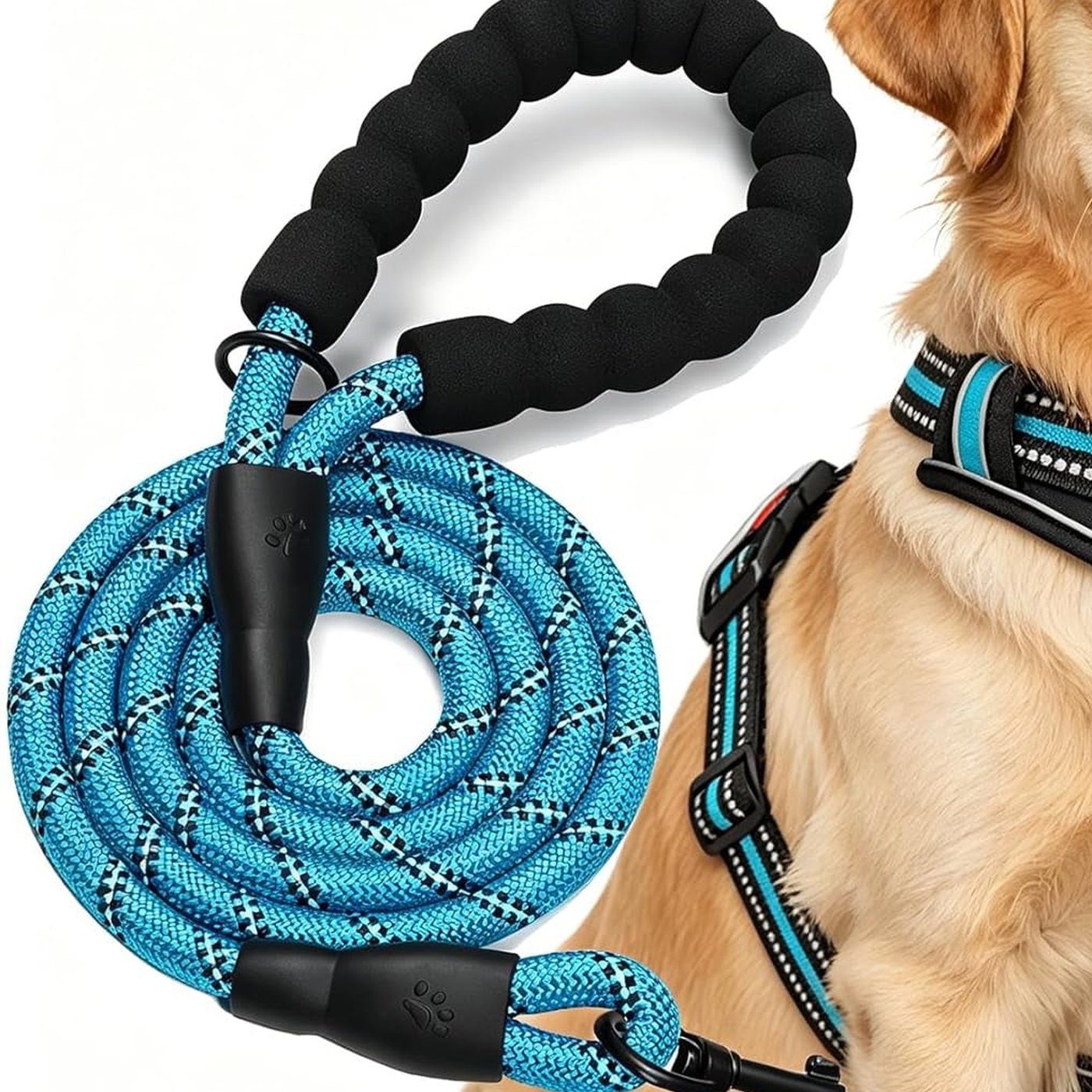 No-Pull Reflective Dog Harness Set - studio image 1