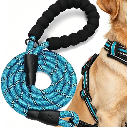 No-Pull Reflective Dog Harness Set - studio image 1