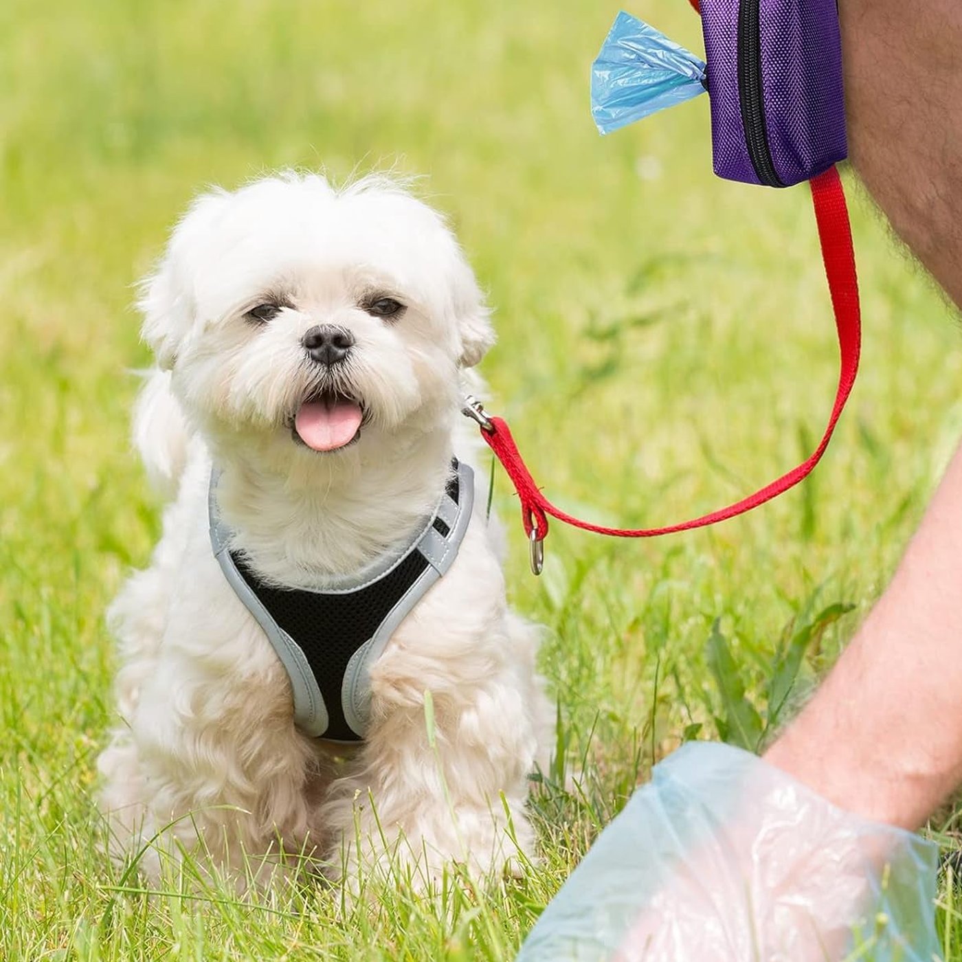 Dog Waste Bag Dispenser Pouch - studio image 3