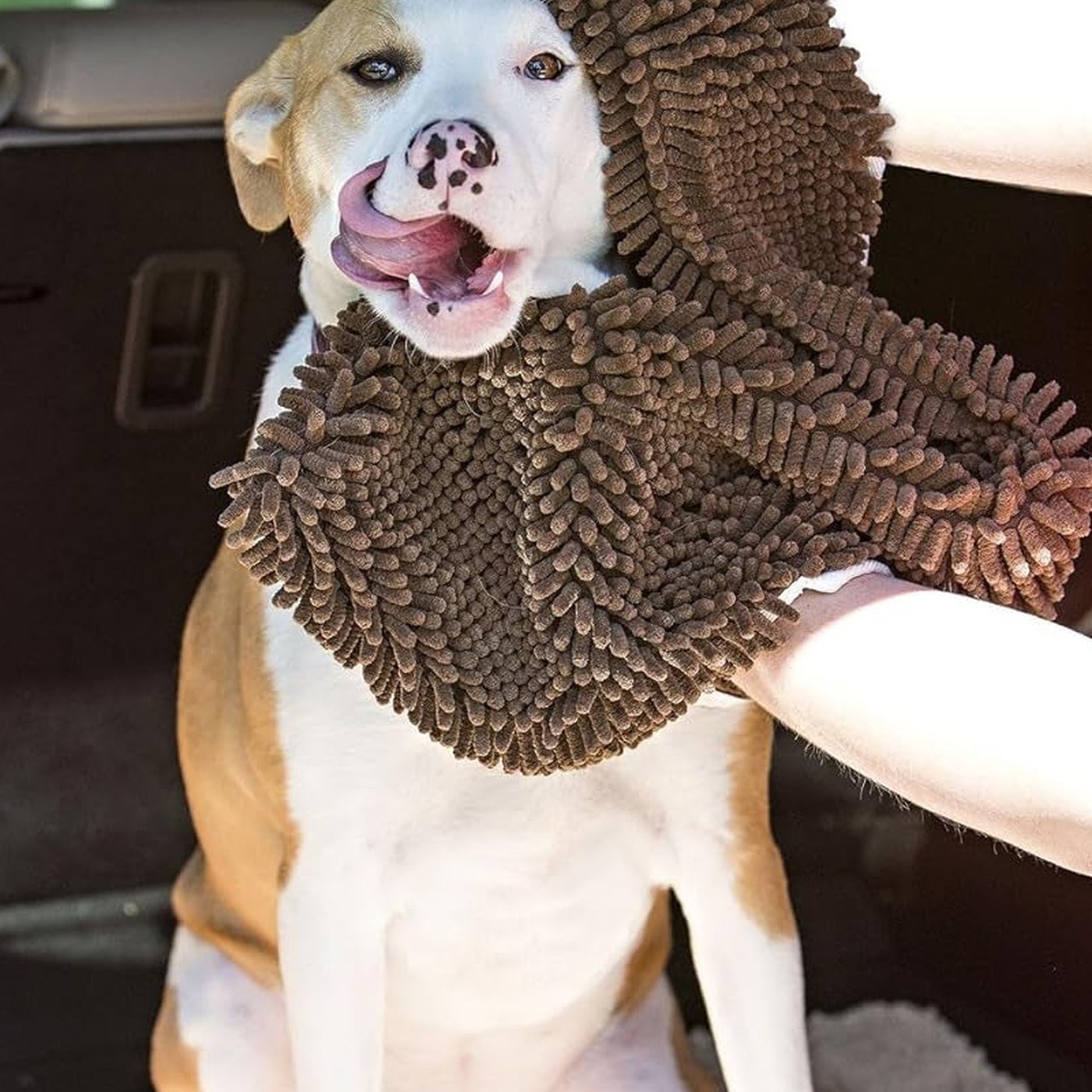 Super Absorbent Dog Drying Towel - studio image 2