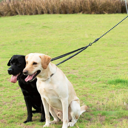Dual Dog Leash with Swivel Bungee - studio image 3
