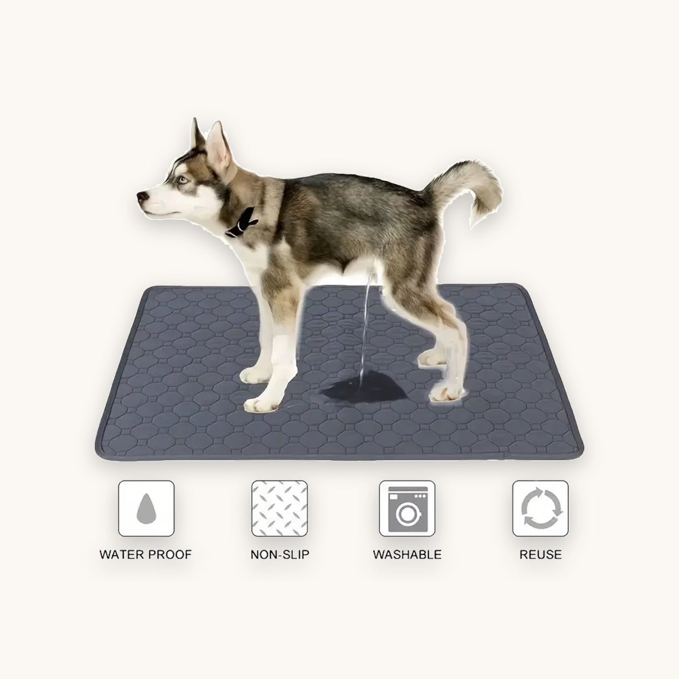 Tapete absorbente reutilizable para perro y gato